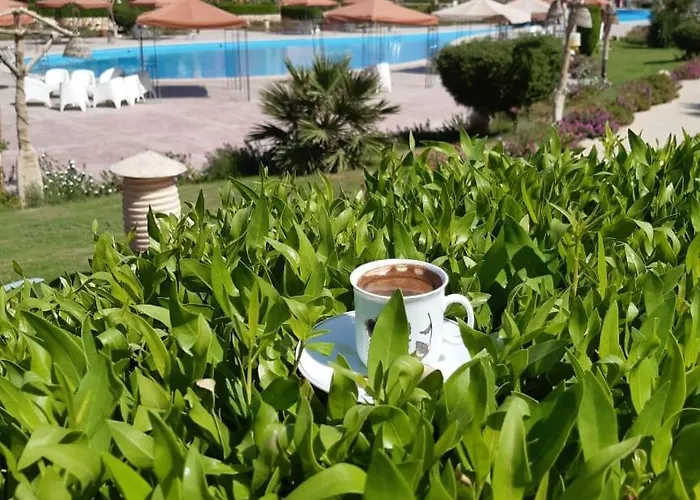 Apartment مميز ارضى بجاردن *