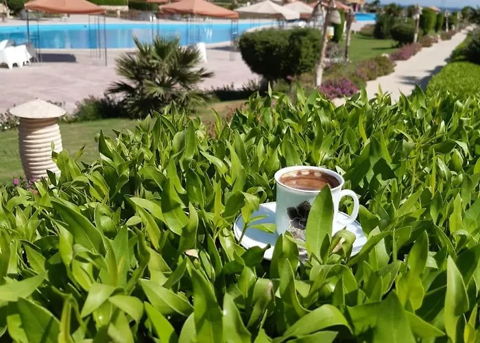 مميز ارضى بجاردن Apartment Ain Sukhna